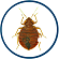 Bedbug